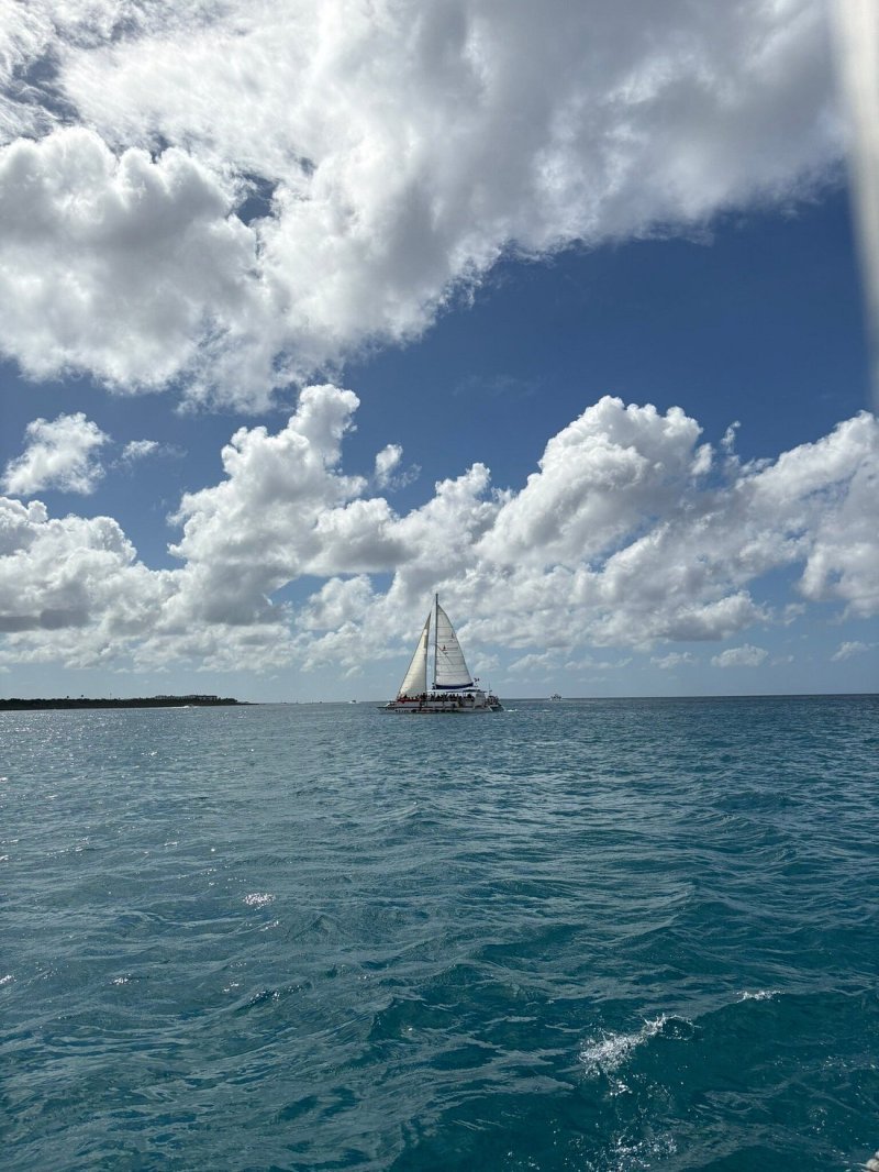 Saona Island Paradise: Full-Day
